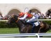  Carrera: P.Octaviano y Gonzalo Griñán Monta: V.Janacek Cuadra: C.Pinna Fidelis